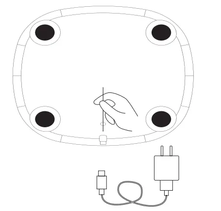Yolanda CS10A Professional Body Composition Analyzer - product 2