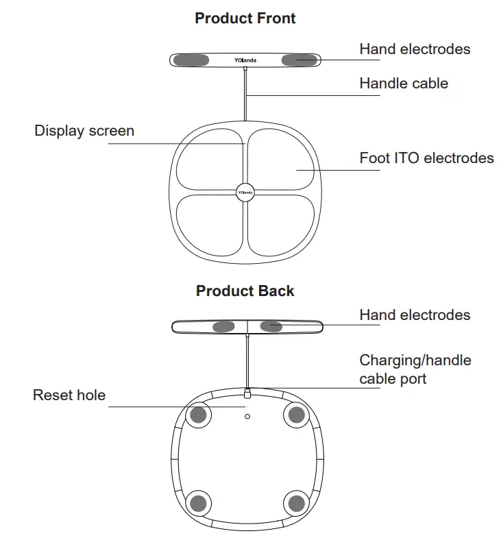 Yolanda CS10A Professional Body Composition Analyzer - product