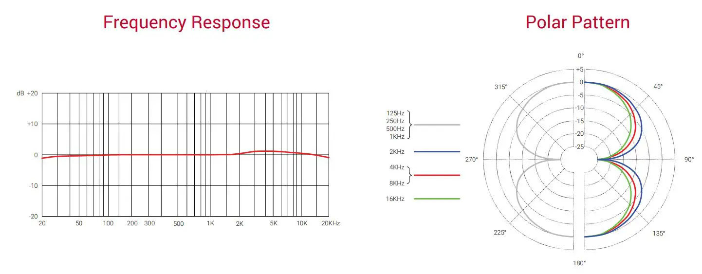 SE-Electronics-VR1 Voodoo-Passive-Ribbon-Microphone-2