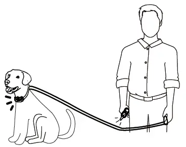 PATPET P-Collar 910 Dog Training Collar-13