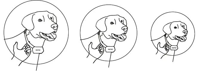 PATPET P-Collar 910 Dog Training Collar-6