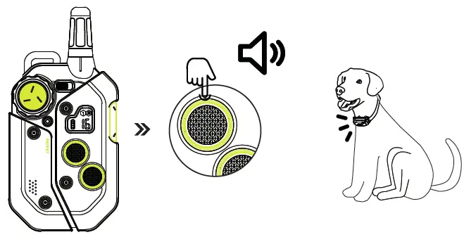 PATPET P-Collar 910 Dog Training Collar-7