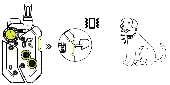 PATPET P-Collar 910 Dog Training Collar-8