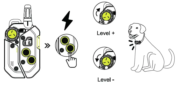 PATPET P-Collar 910 Dog Training Collar-9