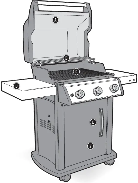 SPIRIT E-215 Weber Gas Grill 01