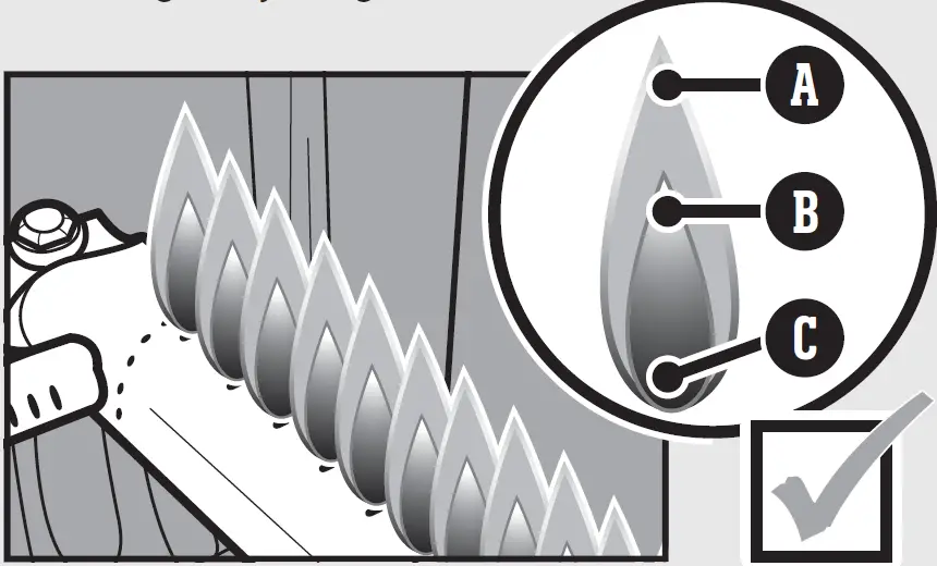 SPIRIT E-215 Weber Gas Grill 46