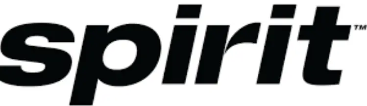 SPIRIT E-215 Weber Gas Grill logo