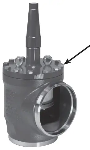 Product Descriptions