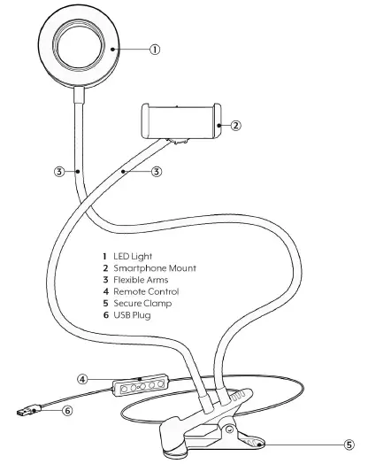 BOWER-BWRWARGBDSKRL-24-In-Flexible-White-and-RGB-Ring-Light-01