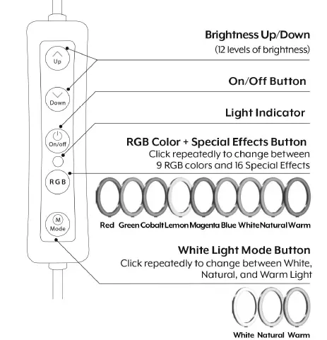 BOWER-BWRWARGBDSKRL-24-In-Flexible-White-and-RGB-Ring-Light-08