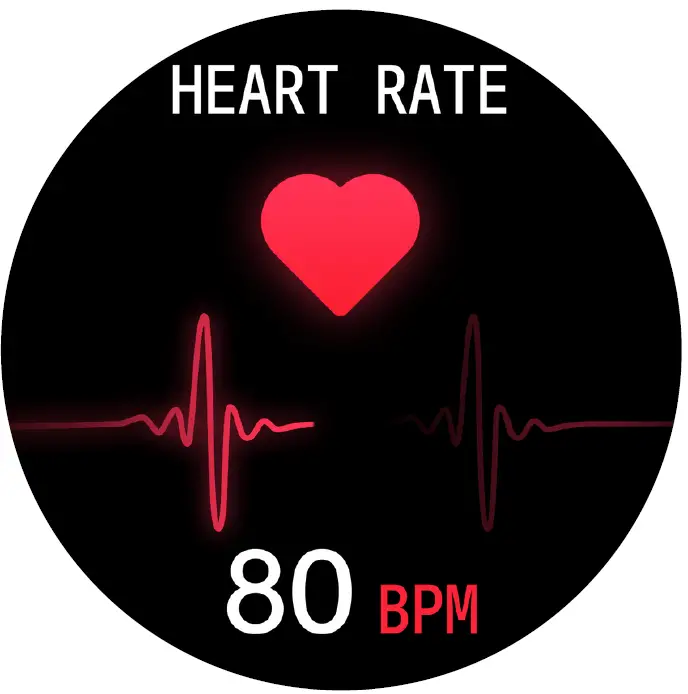 FIRE-BOLTT BSW003 Smartwatch Heart Rate