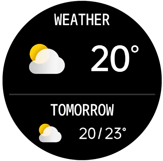 FIRE-BOLTT BSW003 Smartwatch Weather