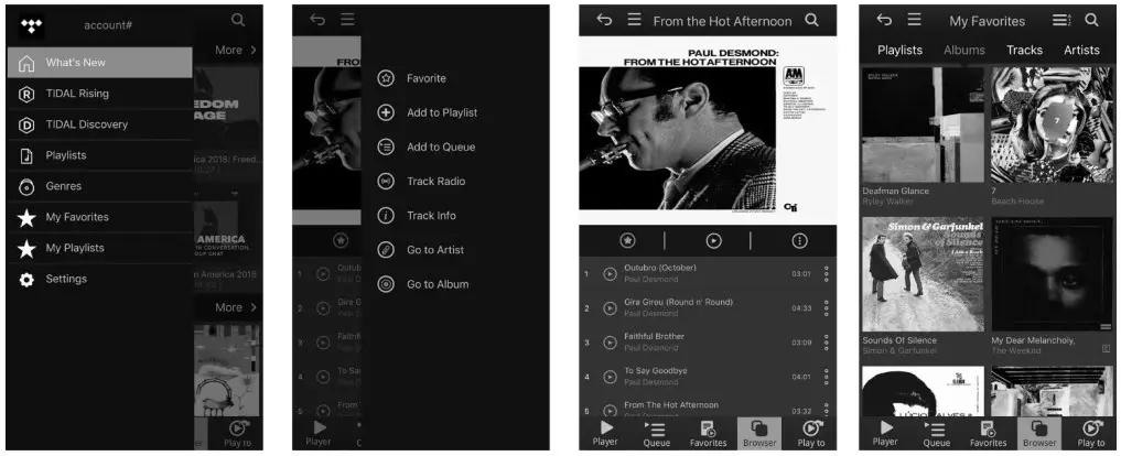 bel canto e1X DAC ControlPreamp - connecting to your network 5