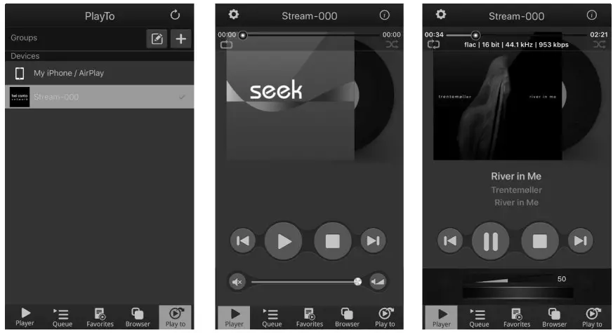 bel canto e1X DAC ControlPreamp - connecting to your network 6