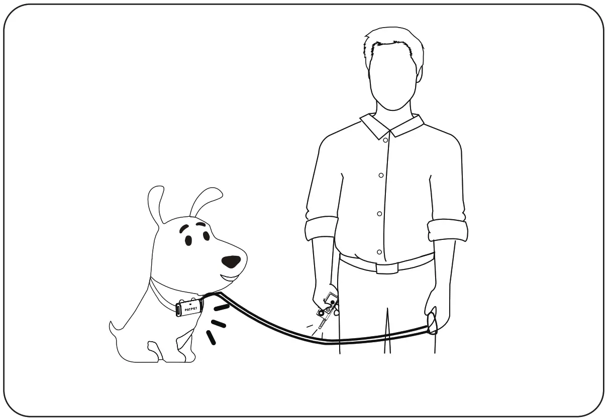 PATPET p collar 210A Dog Training Collar - Training Tips