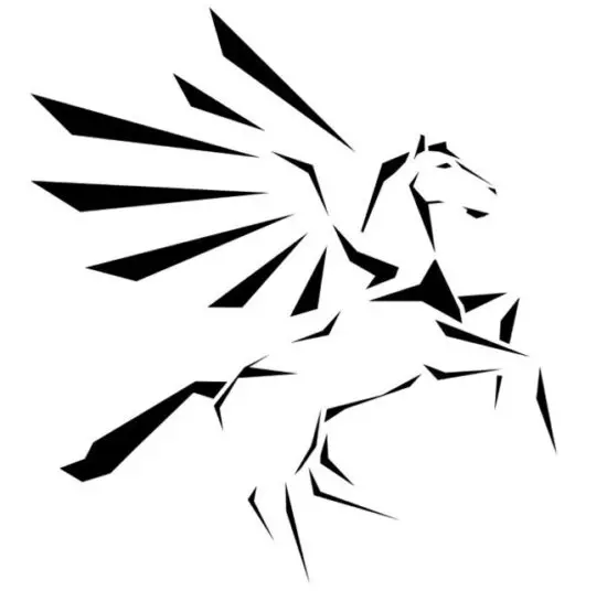 DGT Pegasus Chess e Board