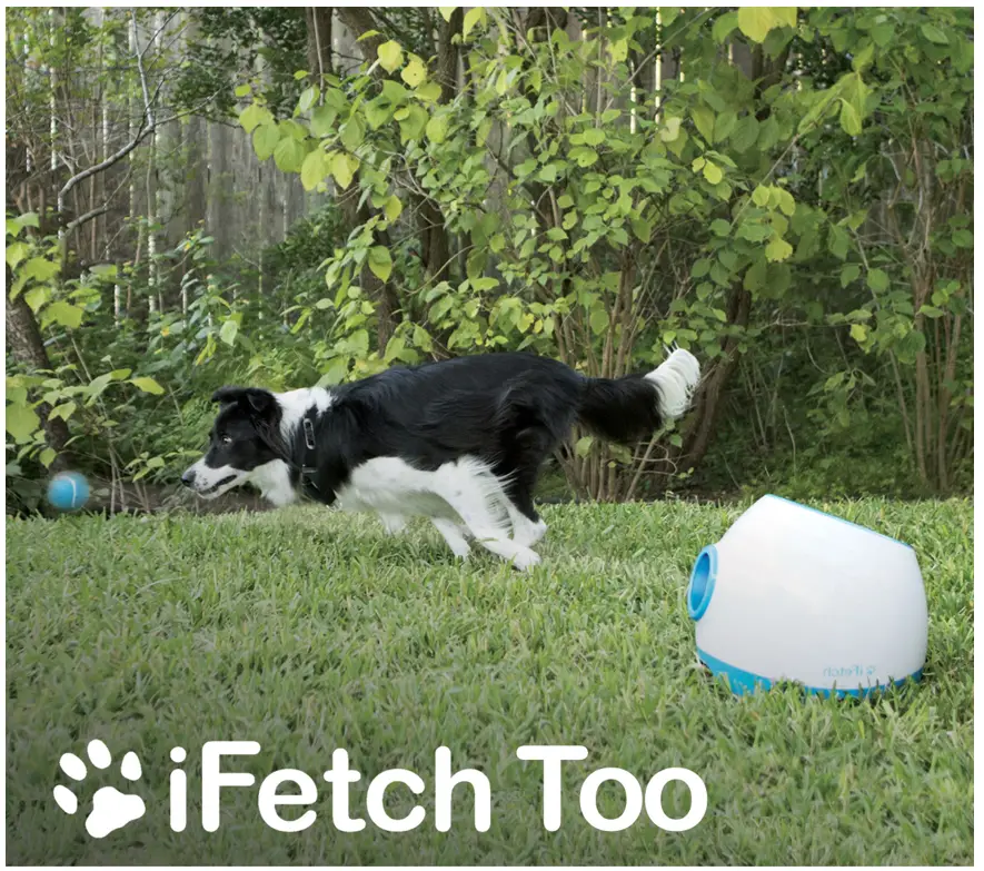 iFetch 115173 Too Automatic Ball Launcher Dog Toy .