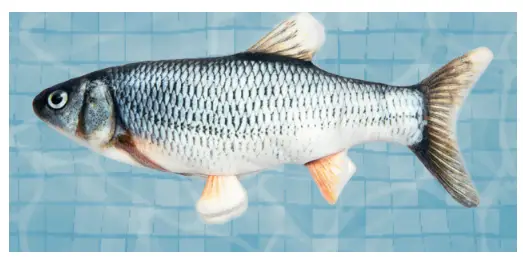 petTec-Trout-Plush-Pet-Toy-Product