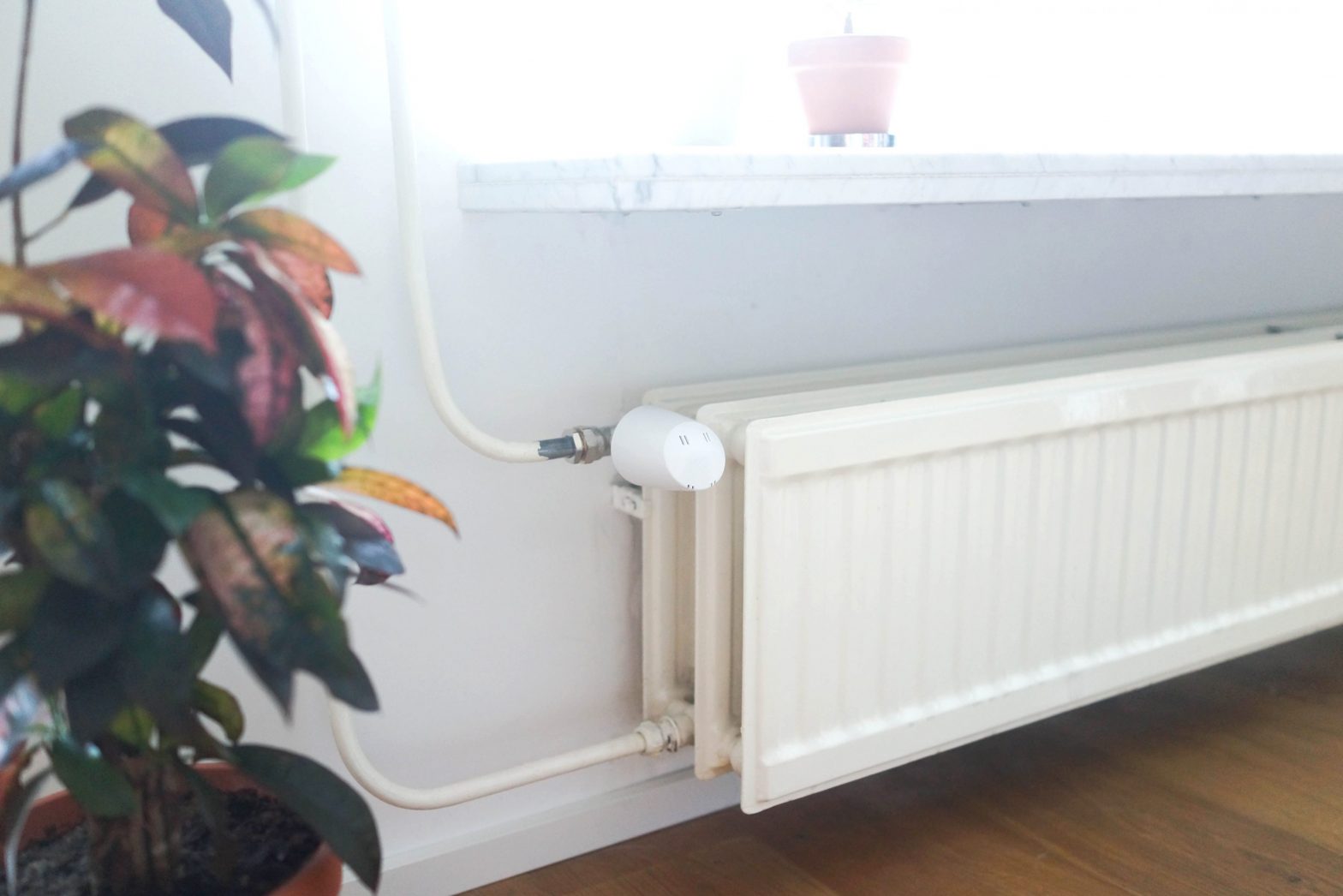 Plugwise Tom And Floor User Guide