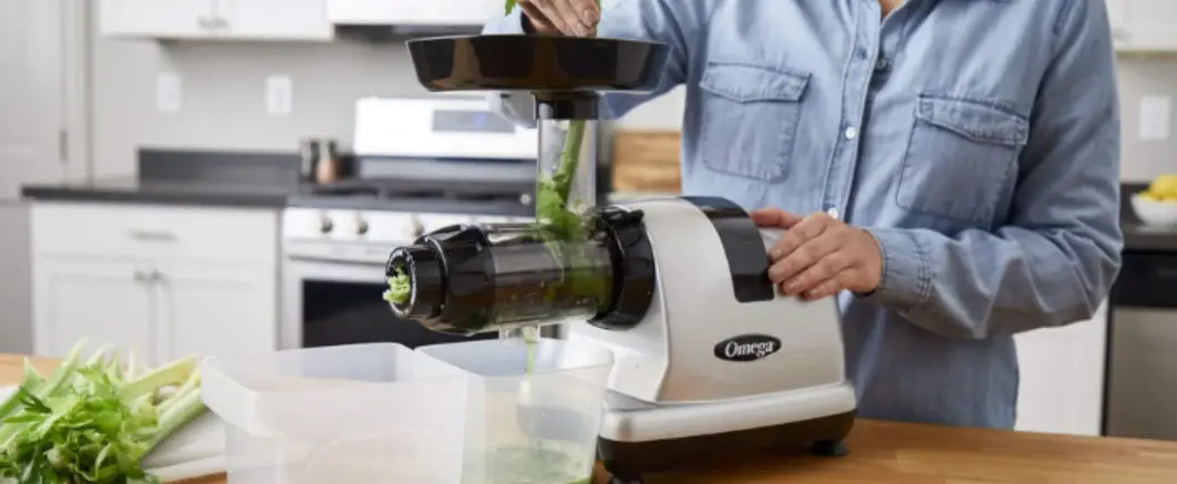 Kitchenbrothers Kb738 Slow Juicer With Speed Control User Manual