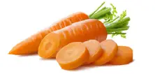 Carrot
