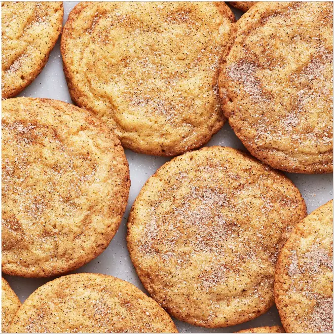 DASH DCSM350 Electric Stand Mixer - fig 17