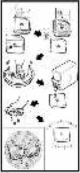 K nner S hnen KSB 30A Gasoline Generator 11