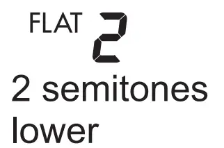 Display Functions Icon