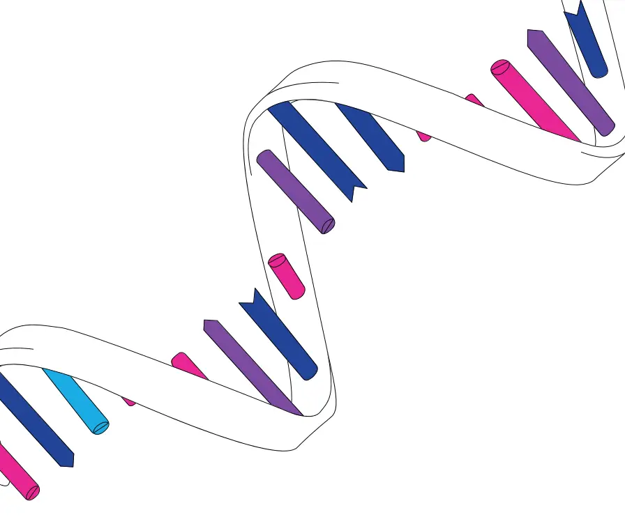 IZON RXT01 qEV RNA Extraction Kit