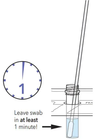 QUIDEL QuickVue At Home COVID 19 Test - MINUTE