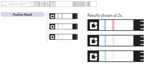 QUIDEL QuickVue At Home COVID 19 Test - Result