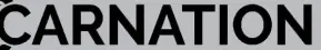 CARNATION logo