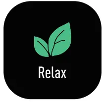 Function Introduction