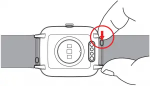 Assembling Your Watch Disassembly