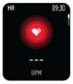 Heart Rate Monitor