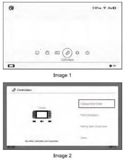 Joysticks-STK-7040RG-Wireless-Controller-for-NS-fig-2