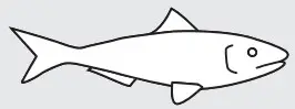 Fish Icon