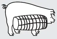 Pig Icon