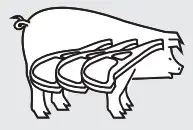 Pig Icon