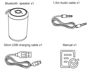 anko 20YX02Red Bluetooth Speaker - figure 1