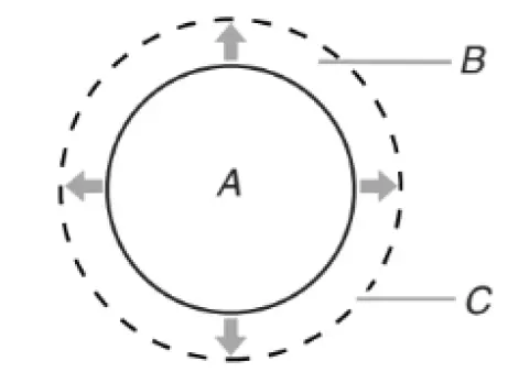 KitchenAid-KSEG950ESS-Electric-Downdraft-Range-fig-4