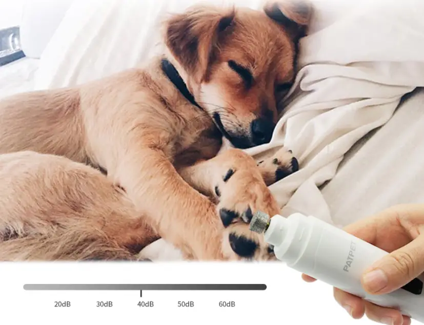 Patpet N10 Steel Grit Dog & Cat Nail Grinder User Manual Patpet N10 Steel Grit Dog & Cat Nail Grinder User Manual