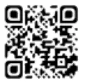 Salem Master Pro 2 Cycle Chain qr