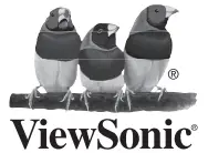 ViewSonic Logo 2