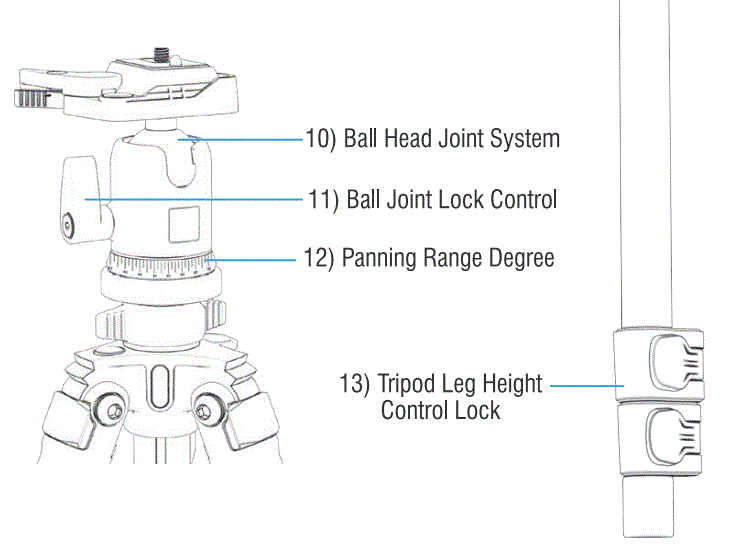 SABRENT-TP-AL56-56-Inch-Aluminum-Tripod-with-360-Degree-Ful-Motion-Camera-Mount-3