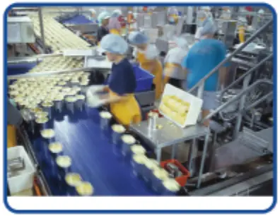 HYCO W79LD 2d Ring Scanner A5