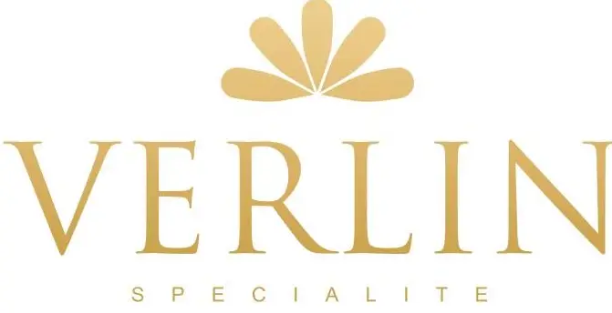 VERLIN logo