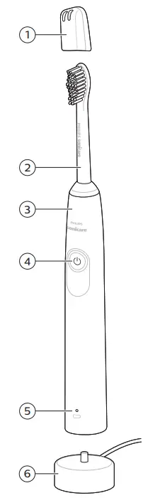 PHILIPS 1000, 2000 Series Sonic Care - 1