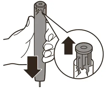 PHILIPS 1000, 2000 Series Sonic Care - Holding the handle