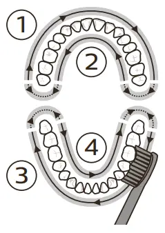 PHILIPS 1000, 2000 Series Sonic Care - QuadPacer